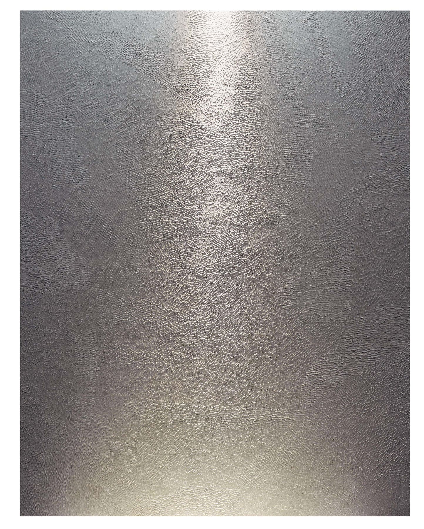 2 in 1—2015227