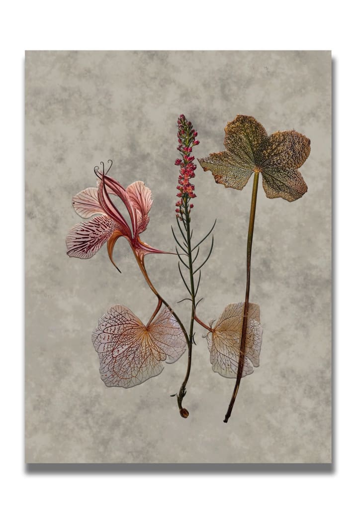 Plant001