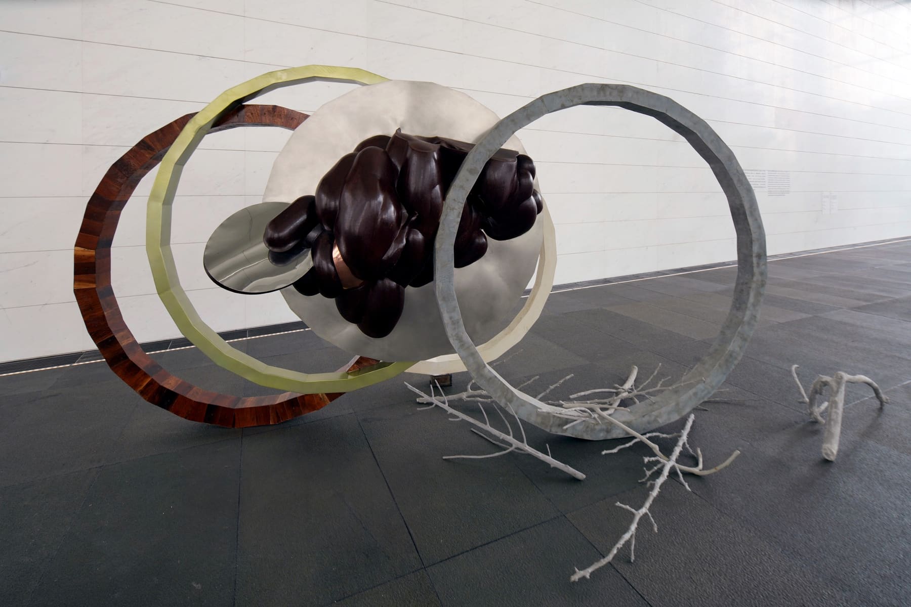 Wang Yuyang, Symbiosis – Meticulousness, installation view